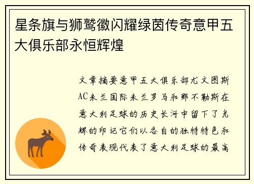 星条旗与狮鹫徽闪耀绿茵传奇意甲五大俱乐部永恒辉煌